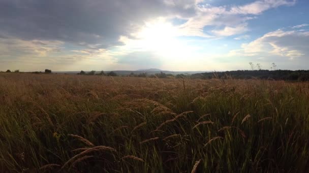 Yaz Aylarında Karpat Dağları Timelapse Manzaralar — Stok video