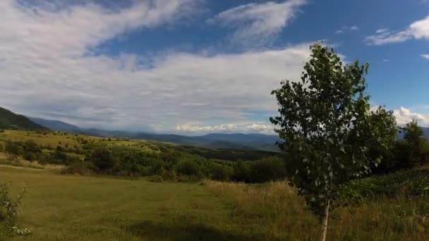 Letnie Krajobrazy Karpat Lecie — Wideo stockowe