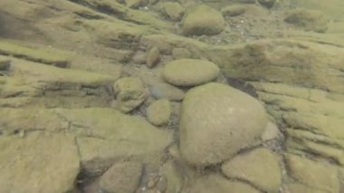 Yaz aylarında dağ nehir suyu