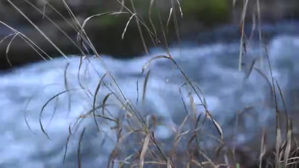 Timelapse Des Paysages Des Carpates Hiver — Video