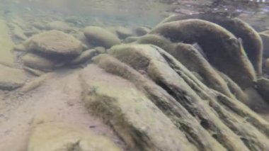 Yaz aylarında dağ nehir suyu