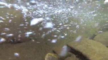 Yaz aylarında dağ nehir suyu