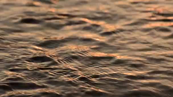 Agua Del Río Montaña Verano — Vídeos de Stock