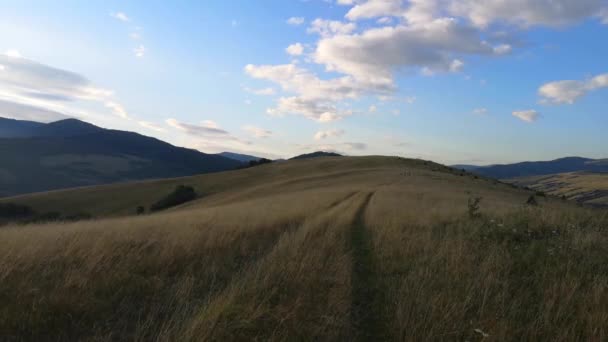 Paisajes Las Montañas Cárpatas Verano — Vídeo de stock