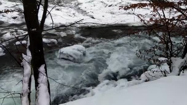 Timelapse Inverno Paisagens Dos Cárpatos — Vídeo de Stock