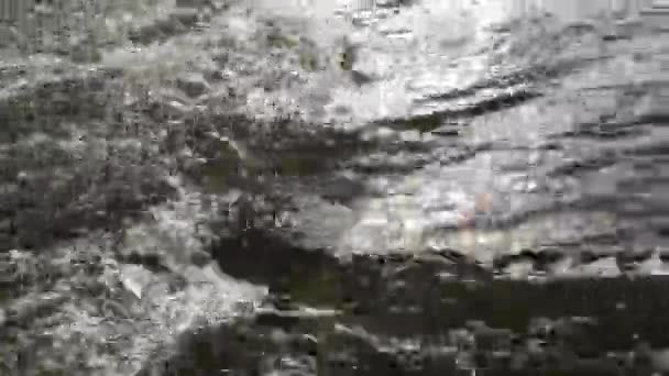 Água Rio Montanha Verão — Vídeo de Stock