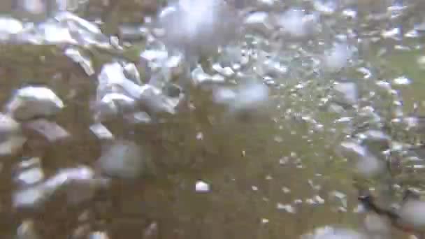 Гірська Річкова Вода Влітку — стокове відео