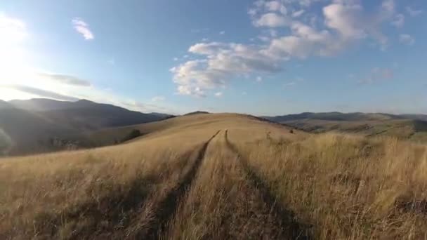 夏のカルパチア山脈の風景 — ストック動画