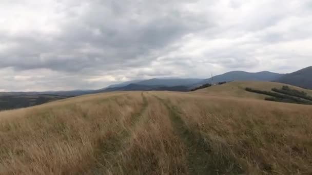 Krajobrazy Karpat Lecie — Wideo stockowe