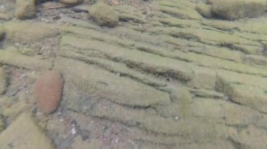 Yaz aylarında dağ nehir suyu