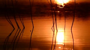 Yaz aylarında dağ nehir suyu