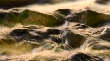 Yaz aylarında dağ nehir suyu