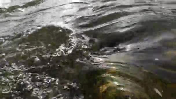 Górska Rzeka Woda Lecie — Wideo stockowe