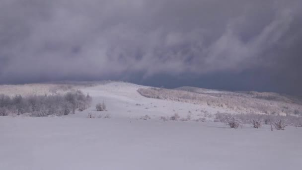 冬のカルパチアの風景のタイムラプス — ストック動画