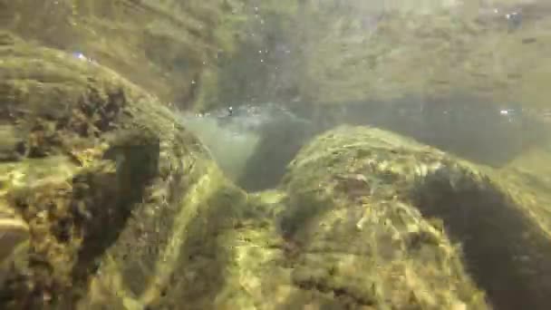 Agua Del Río Montaña Verano — Vídeos de Stock