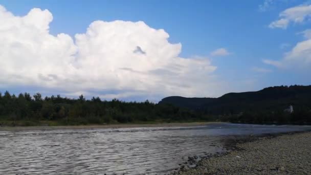 Gunung Air Sungai Musim Panas — Stok Video