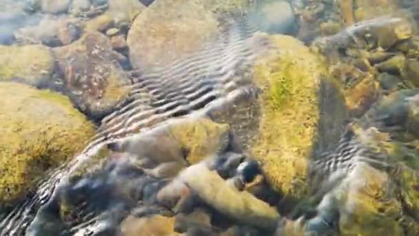 Νερό Του Ποταμού Βουνού Καλοκαίρι — Αρχείο Βίντεο