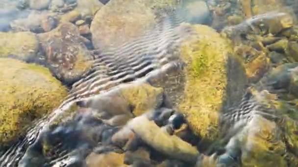 Eau Rivière Montagne Été — Video