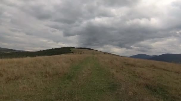 Landschappen Van Het Karpaten Gebergte Zomer — Stockvideo