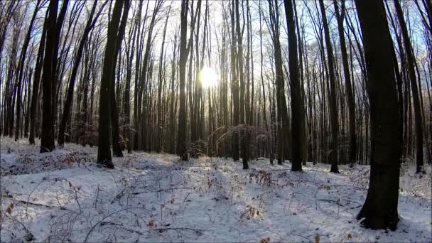 Zeitraffer Der Winterkarpaten Landschaften — Stockvideo
