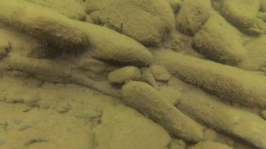 Yaz aylarında dağ nehir suyu