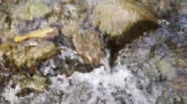 Yaz aylarında dağ nehir suyu