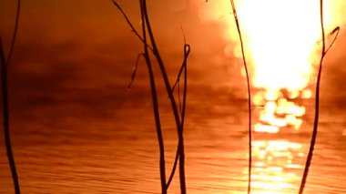 Yaz aylarında dağ nehir suyu