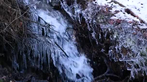 Timelapse Vinter Karpatiska Landskap — Stockvideo