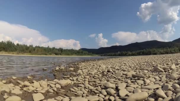 夏の山の川の水 — ストック動画