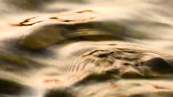 Mountain River Vatten Sommaren — Stockvideo