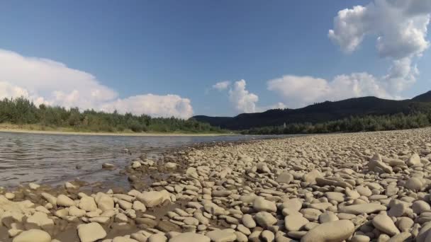 Yaz Aylarında Dağ Nehir Suyu — Stok video