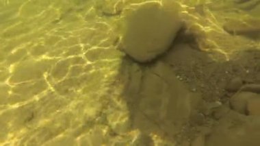 Yaz aylarında dağ nehir suyu