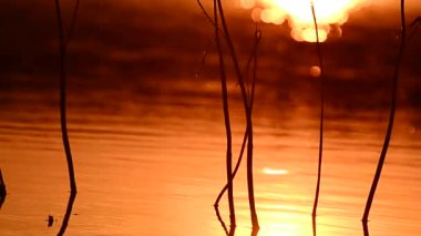 Yaz aylarında dağ nehir suyu