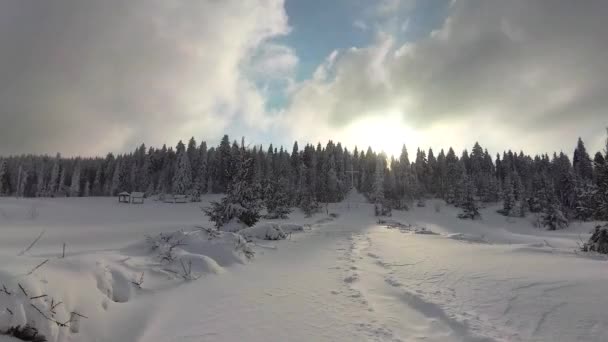 Тимчасом Зимових Карпатських Ландшафтів — стокове відео