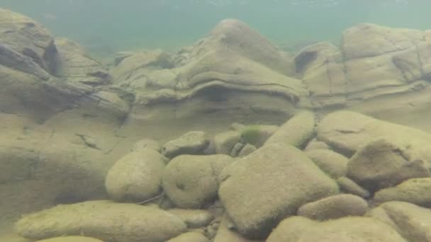 Горная Речная Вода Летом — стоковое видео