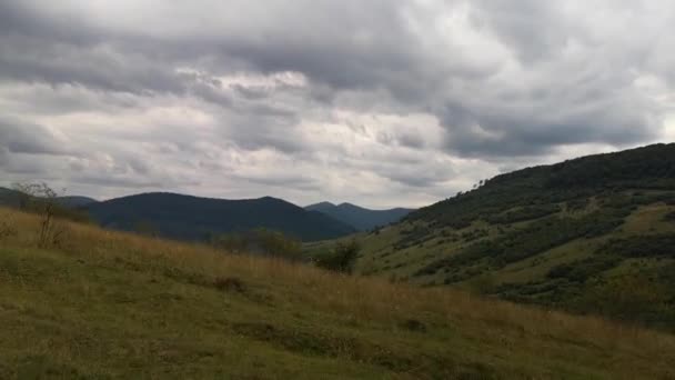 Yazın Karpat Dağları Nın Manzaraları — Stok video