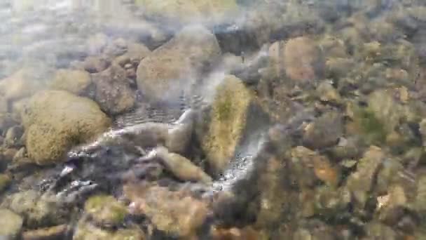 Água Rio Montanha Verão — Vídeo de Stock