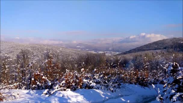 Timelapse Van Winter Karpaten Landschappen — Stockvideo