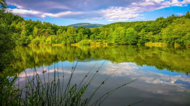 Sunny Transcarpathia denilen manzara