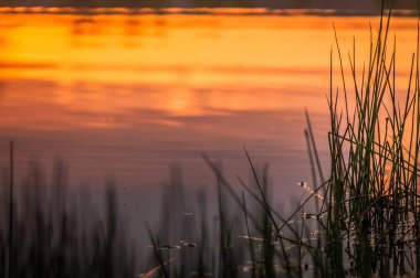 Renkli su adı verilen manzara
