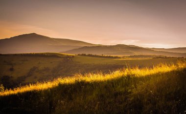 Sunny Transcarpathia denilen manzara
