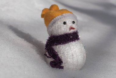 Aralık Torunu adlı manzara