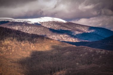 Sunny Transcarpathia denilen manzara