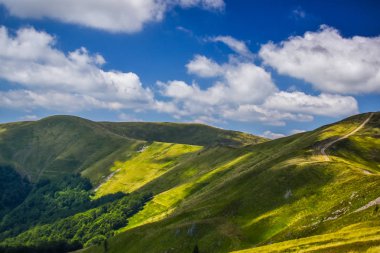 Polonyna Krasna denilen manzara