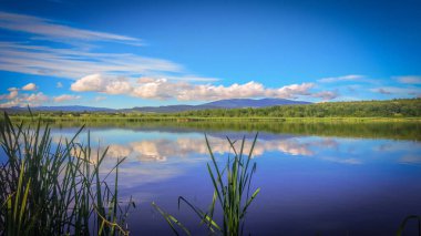 Sunny Transcarpathia denilen manzara
