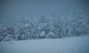 Kış Transkarpatı denilen manzara