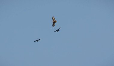 İlginç üçlü olarak adlandırılan manzara