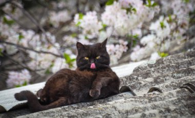 Mart denilen manzara bitti :) 