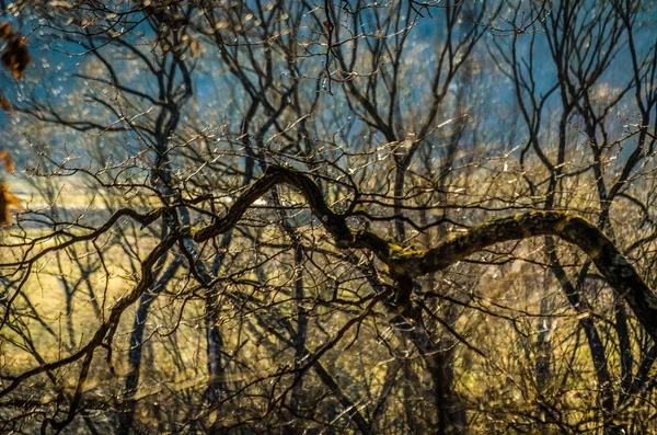 Krajina Nazvaná Rebus — Stock fotografie