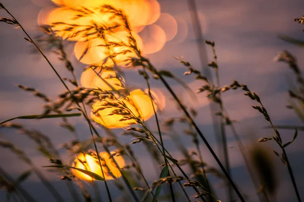 Nehir tarafından adlandırılan manzara